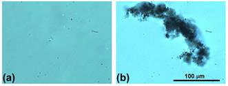 Ferronematics Are Nematic Liquid Crystals Doped With Magnetic