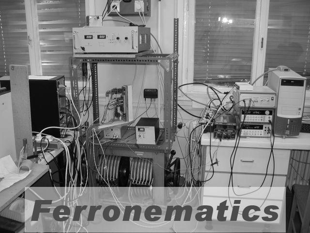 Ferronematics