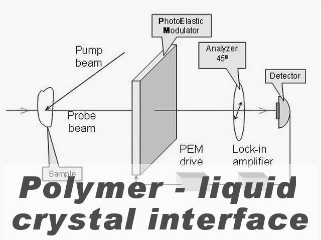 Polymer-liquid crystal interface