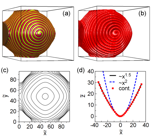 Spiraling eutectic dendrites