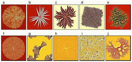 [pattern-picture]