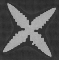 [pattern-picture]