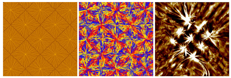 Phase-Field Modeling of Polycrystalline Solidification: From Needle Crystals to Spherulites - A Review