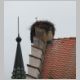 DSC_7047a.jpg