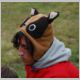 DSC_8707a.jpg