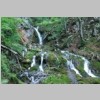 DSC_0763.JPG