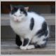 DSC_9630a.jpg