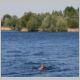 DSC_7126a.jpg